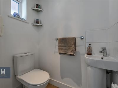 Picture 7